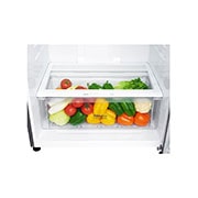 LG Ψυγείο Δίπορτο Total No Frost 180 x 78 cm, GTB744DSCV, GTB744DSCV, thumbnail 10