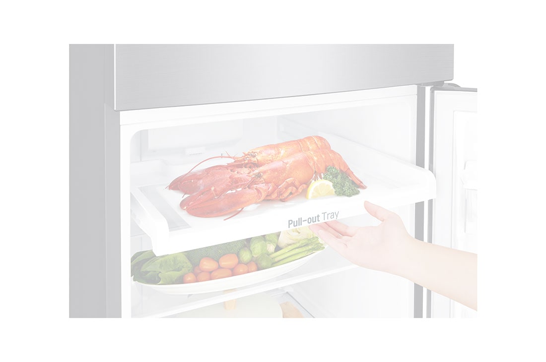 LG Ψυγείο Δίπορτο Total No Frost 166,5 x 55,5 cm, όψη λεπτομέρειας συρόμενου δίσκου, GTB362PZCMD, thumbnail 6