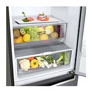 LG Ψυγειοκαταψύκτης Total No Frost 203 x 59,5 cm , Drawer with Food1, GBP62DSNCN1, thumbnail 6