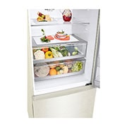 LG Ψυγειοκαταψύκτης Total No Frost 185 x 70,5 cm, detailed view with food, GBB567SECMN, thumbnail 9