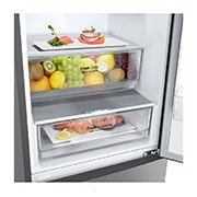 LG Ψυγειοκαταψύκτης Total No Frost 203 x 59,5 cm , Drawer with food, GBP52PZNCN1, thumbnail 4