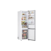 LG Ψυγειοκαταψύκτης Total No Frost 203 x 59,7 cm, GBBSJ20DSW, thumbnail 12