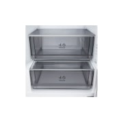 LG Ψυγειοκαταψύκτης Total No Frost 203 x 59,7 cm, GBBSJ20DSW, thumbnail 15
