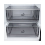 LG Ψυγειοκαταψύκτης Total No Frost 203 x 59,7 cm, LG ψυγειοκαταψύκτης όψη από μπροστά που δείχνει τον αεραγωγό DoorCooling+™, GBBSJ21DEP, thumbnail 8