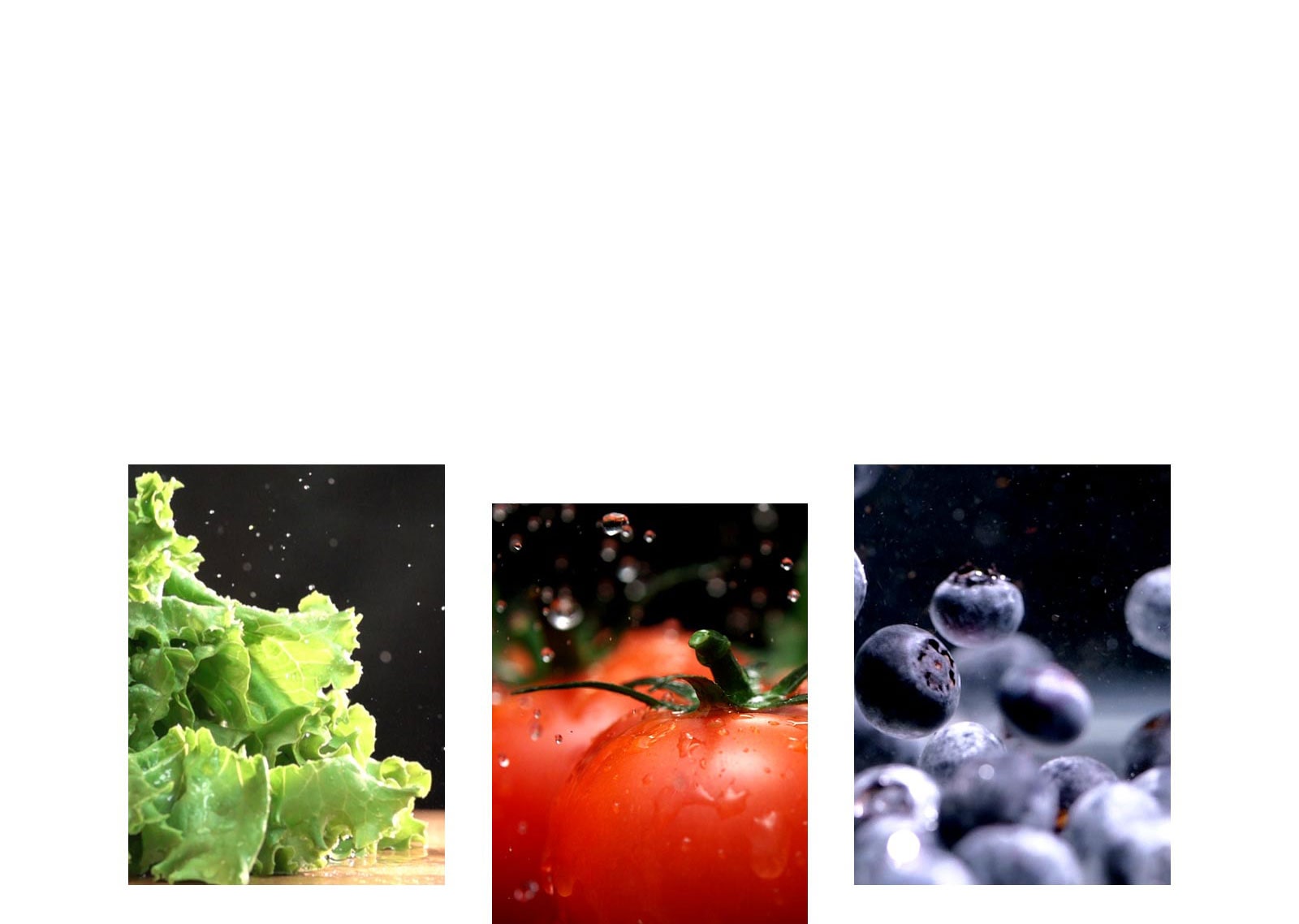 marul, domates ve yaban mersini gibi meyve ve sebzeler üründe taze tutulmaktadır.