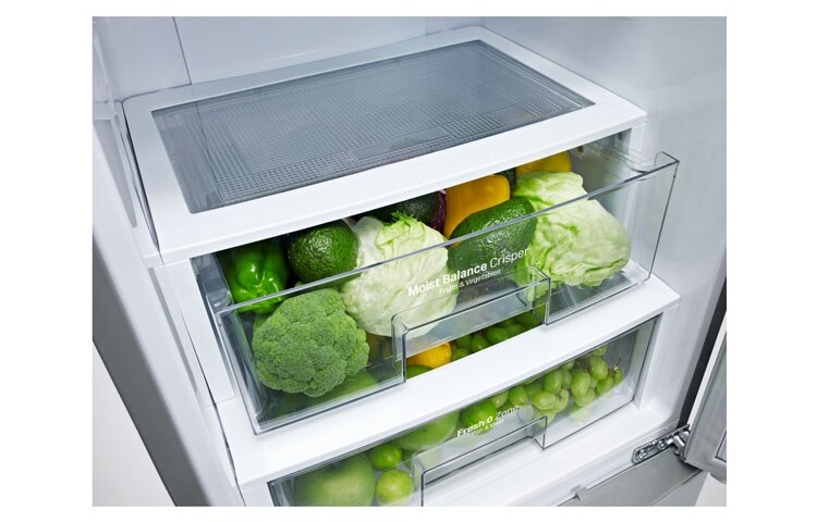 LG Ψυγειοκαταψύκτης Total No Frost, Μεικτή Χωρητικότητα 377 λίτρα, 10 χρόνια εγγύηση στον Γραμμικό Συμπιεστή, GBB530NSQFS, thumbnail 3