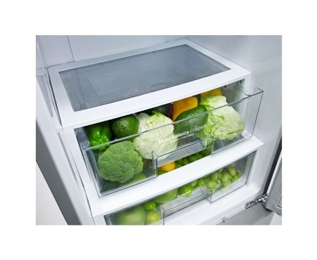 LG Ψυγειοκαταψύκτης Total No Frost, Μεικτή Χωρητικότητα 377 λίτρα, 10 χρόνια εγγύηση στον Γραμμικό Συμπιεστή, GBB530NSQFS, thumbnail 3