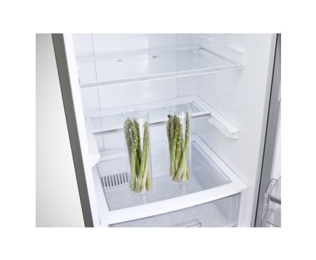 LG Ψυγειοκαταψύκτης Total No Frost, Μεικτή Χωρητικότητα 377 λίτρα, 10 χρόνια εγγύηση στον Γραμμικό Συμπιεστή, GBB530NSQFS, thumbnail 7