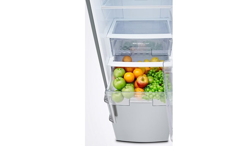 LG Ψυγειοκαταψύκτης 376 lt Total No Frost, GBF530PVQPB, thumbnail 3