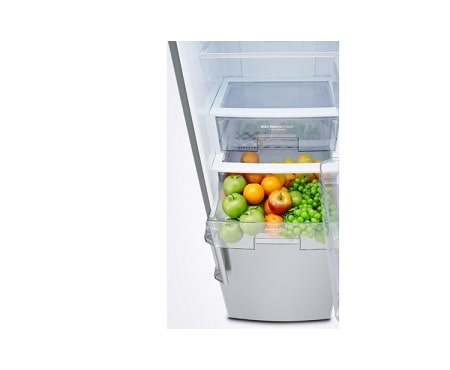 LG Ψυγειοκαταψύκτης 376 lt Total No Frost, GBF530PVQPB, thumbnail 3