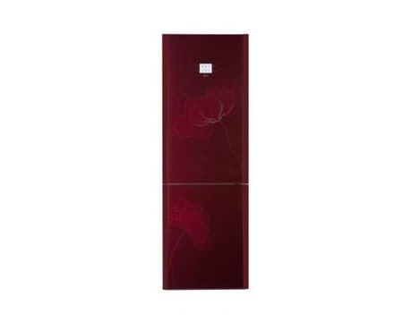 LG Ψυγειοκαταψύκτης No Frost, χωρητικότητας 303lt, GC-B409TDHV, GC-B409TDHV