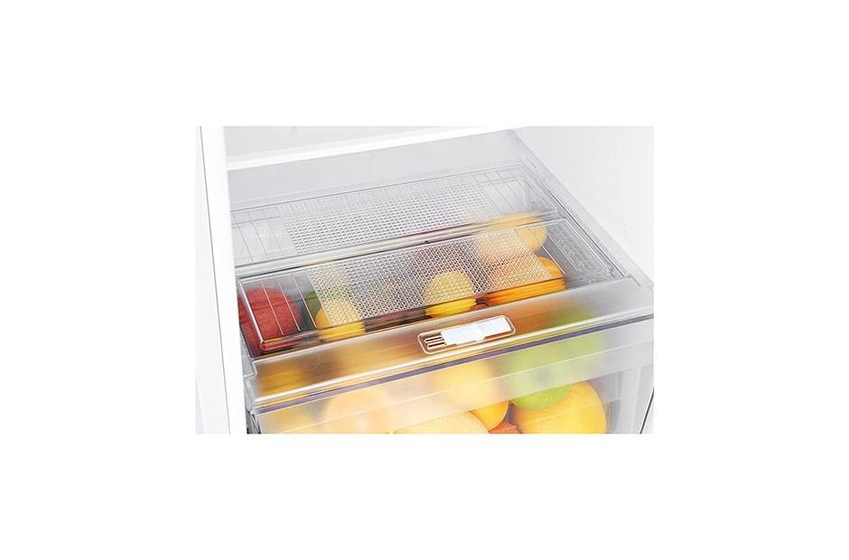 LG Ψυγείο Δίπορτο Total No Frost 169 x 60 cm , GTB523SWCZD, thumbnail 9