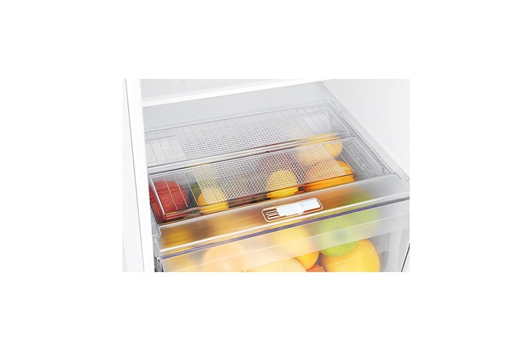 LG Ψυγείο Δίπορτο Total No Frost 169 x 60 cm , GTB523SWCZD, thumbnail 9