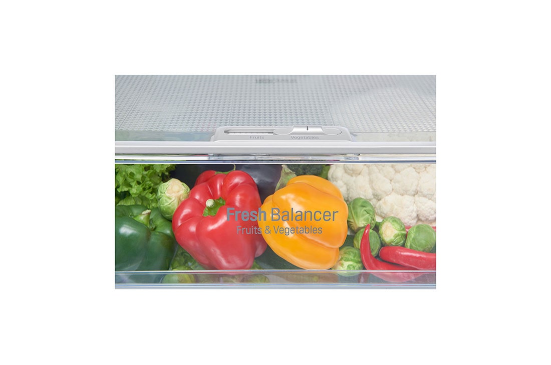 LG Ψυγειοκαταψύκτης NatureFRESH 375 lt GBB60PZFZB Total No Frost, GBB60PZFZB, thumbnail 5