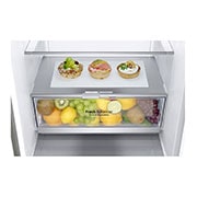 LG Ψυγειοκαταψύκτης Total No Frost 203 x 59,5 cm με βρυσάκι νερού, GBF72NSDZN, thumbnail 5