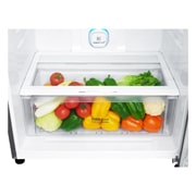 LG Ψυγειοκαταψύκτης NatureFRESH 546lt GTB744PZHZD Total No Frost, GTB744PZHZD, thumbnail 6