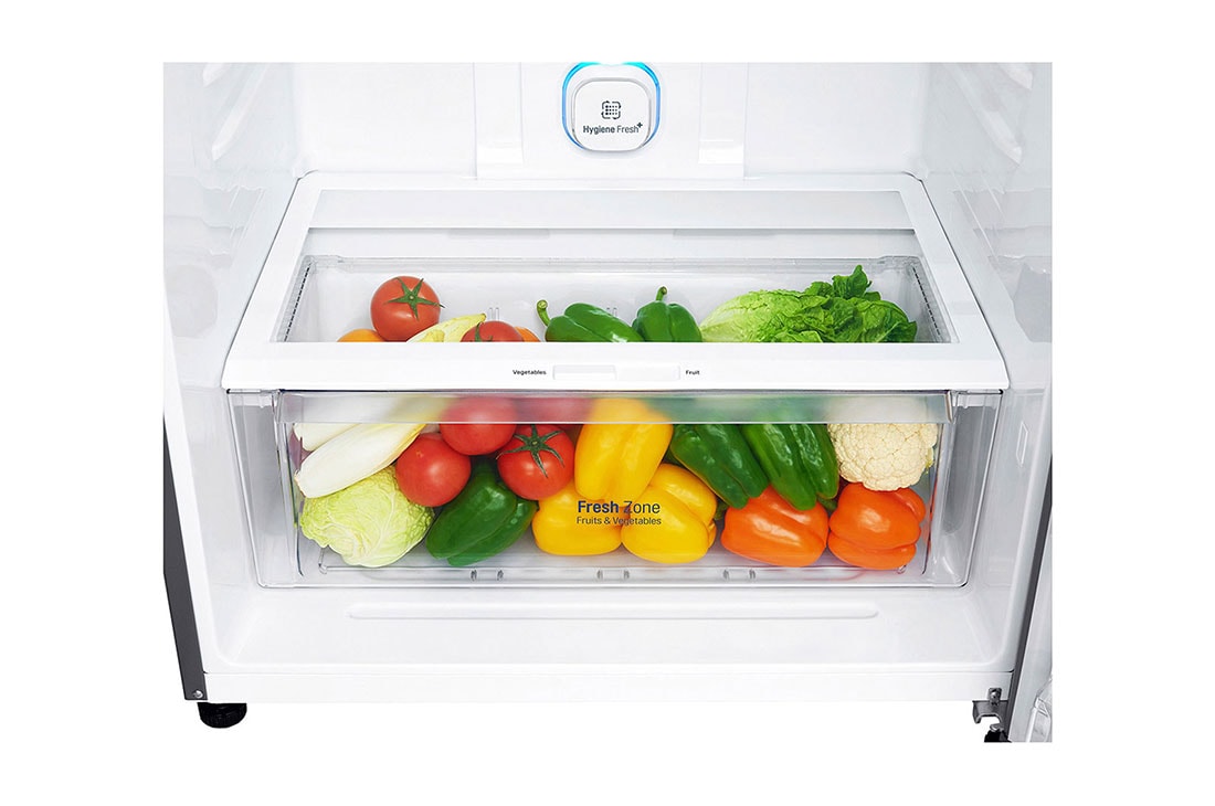 LG Ψυγειοκαταψύκτης NatureFRESH 546lt GTB744PZHZD Total No Frost, GTB744PZHZD, thumbnail 6