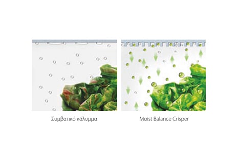 Moist Balance Crisper