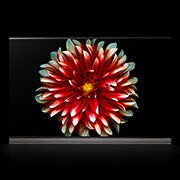 LG 65'' SIGNATURE OLED 4K TV, OLED65G7V, thumbnail 1