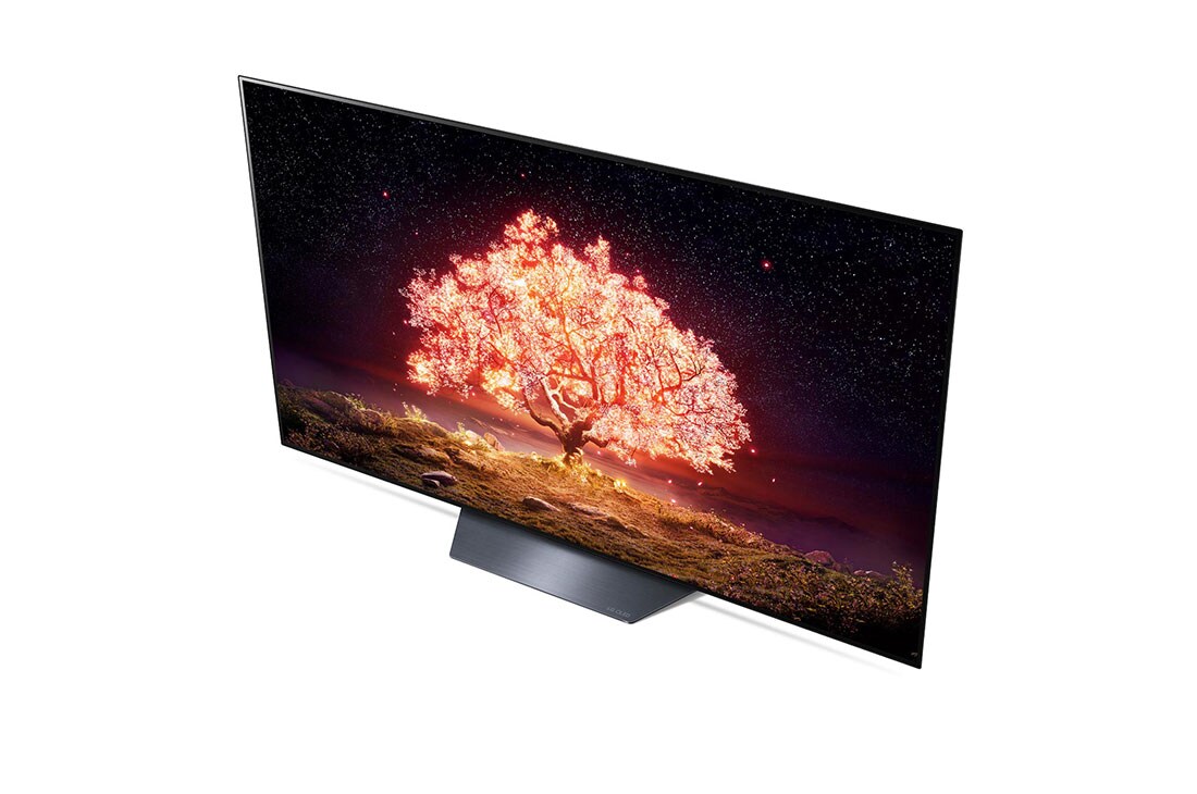 LG B1 65 inch 4K Smart OLED TV, κοντινή πίσω όψη ακροδέκτη, OLED65B16LA, thumbnail 9