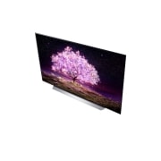 LG C1 77 inch 4K Smart OLED TV, κοντινό πλάνο πόρτας miniwash, OLED77C15LA, thumbnail 8