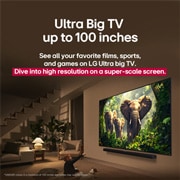 LG Τηλεόραση LG QNED evo AI 50 ιντσών QNED87 MiniLED 4K Smart TV 2025, Ένα κορίτσι και ένας σκύλος κάθονται μπροστά από μία LG QNED TV στερεωμένη σε έναν τοίχο, η οποία απεικονίζει τρεις ελέφαντες που περπατούν προς τα έξω πάνω από ένα LG Soundbar. Ο τίτλος αναφέρει πώς , 50QNED87A6D, thumbnail 6
