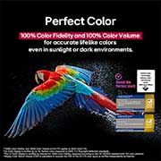 LG OLED evo 65 ιντσών AI G5 4K Smart TV 2025, Ένας πολύχρωμος παπαγάλος σε εξαιρετική υψηλή ευκρίνεια μπροστά από ένα μαύρο φόντο. Σταγόνες νερού αιωρούνται γύρω του. Η εικόνα δείχνει το Perfect Color καθώς κάθε διαφορετική απόχρωση στο σώμα του , OLED65G55LW, thumbnail 8