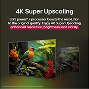 LG Τηλεόραση 55 ιντσών LG QNED AI QNED82 4K Smart TV 2025, Η σύγκριση πριν και μετά του τρόπου με τον οποίο το LG 4K Super Upscaling βελτιώνει την ποιότητα εικόνας. Δύο πάνελ που δείχνουν την ίδια εικόνα ενός πουλιού με έντονα χρώματα σε ένα κλαδί σε ένα δάσο, 55QNED82A6B, thumbnail 7