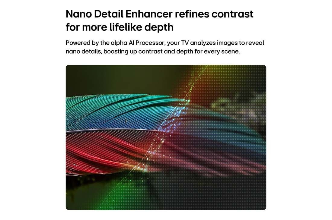 LG NANO 4K UHD 75 ίντσών AI NU8E Smart TV 2026, Η LG NANO 4K UHD AI NU85 με Nano Detail Enhancer δείχνει μια εικόνα ενός φτερού, με την υποστήριξη του επεξεργαστή alpha AI που ανιχνεύει λεπτές υφές για τη βελτίωση της αντίθεσης και του βάθους, και , 75NU8E0B3LA, thumbnail 3