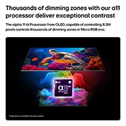 LG Micro RGB evo 100 ιντσών AI MRGB96 4K Smart TV 2026 , Η LG Micro RGB evo AI MRGB95, με την υποστήριξη του RGB Primary Color Ultra, εμφανίζει μια εικόνα λουλουδιών στην οθόνη, με ελεγχόμενο με ακρίβεια κόκκινο, πράσινο και μπλε φως από διακριτές μονάδες M, 100MRGB96B6, thumbnail 6