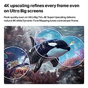 LG Τηλεόραση 85 ιντσών LG QNED AI QNED72 Mini LED 4K Smart TV 2026, Η LG QNED evo AI QNED70 Mini LED με 4K Super Upscaling και Dynamic Tone Mapping δείχνει μια υποβρύχια σκηνή με μια όρκα που κολυμπά, καθώς η AI αναγνωρίζει και αναβαθμίζει κάθε πλαίσιο σε ανάλυση 4K., 85QNED72B6A, thumbnail 8