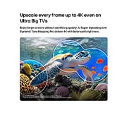 LG Τηλεόραση LG QNED evo AI 115 ιντσών QNED93 Mini LED 4K Smart TV 2026, Η LG QNED evo AI Mini LED QNED90 με AI Picture Pro και Dynamic Tone Mapping Pro δείχνει μια υποβρύχια σκηνή με μια θαλάσσια χελώνα να κολυμπά πάνω από κοράλλια και ψάρια, καθώς το AI αναγνωρίζει και α, 115QNED93B6, thumbnail 7