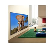 LG Τηλεόραση LG QNED evo AI 115 ιντσών QNED93 Mini LED 4K Smart TV 2026, Η LG QNED evo AI Mini LED QNED90 Ultra Big TV είναι επιτοίχια τοποθετημένη σε έναν φωτεινό χώρο καθιστικού, προβάλλοντας έναν μεγάλο ελέφαντα με ζωντανή λεπτομέρεια που τονίζει την καθηλωτική αίσθηση , 115QNED93B6, thumbnail 13