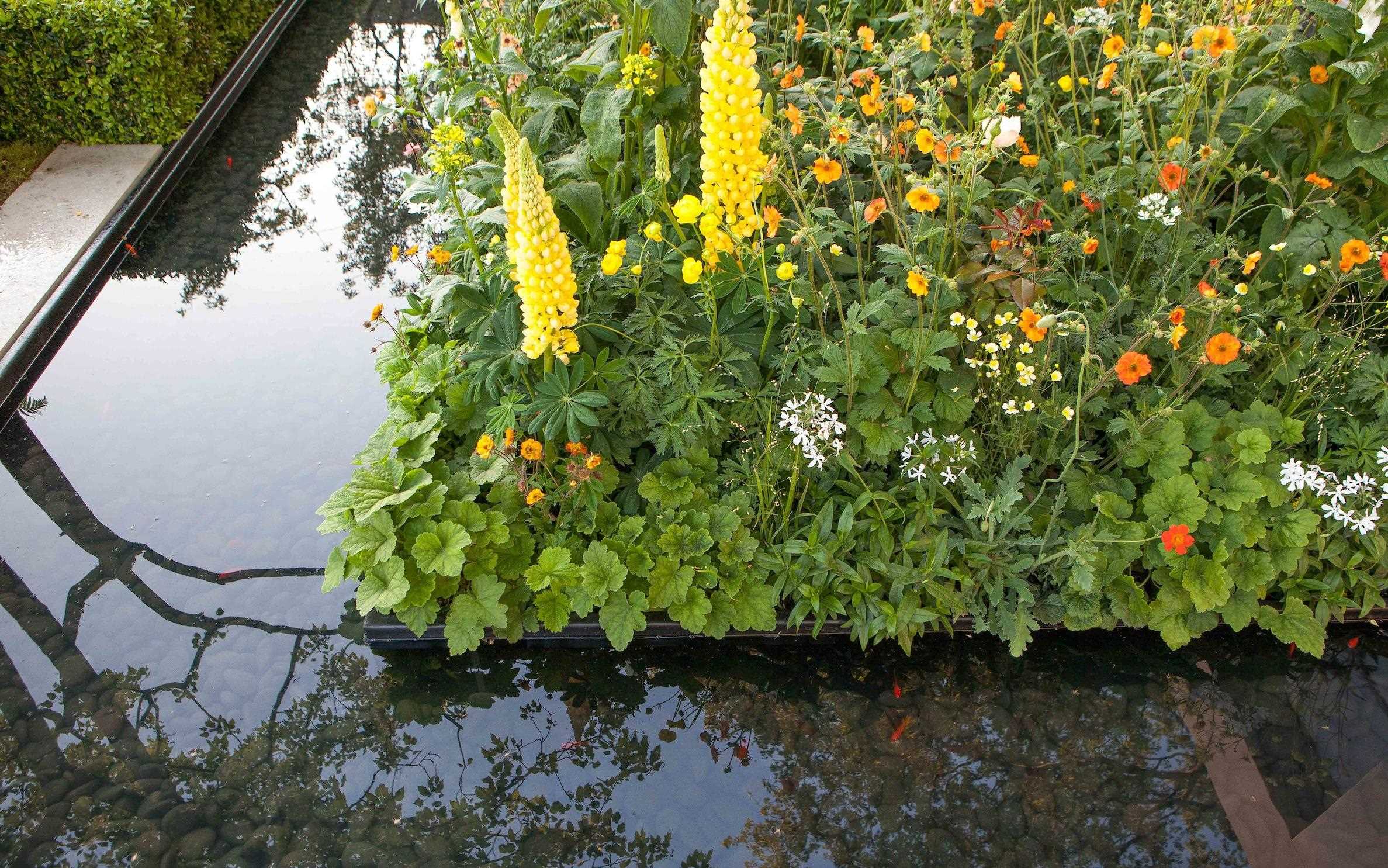 Chelsea-Flower-Show_06.jpg