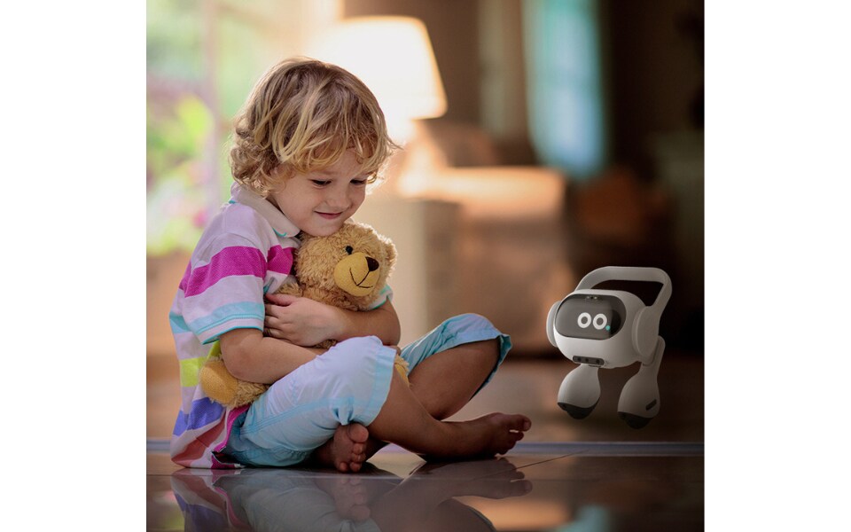 Home Robot (2).png