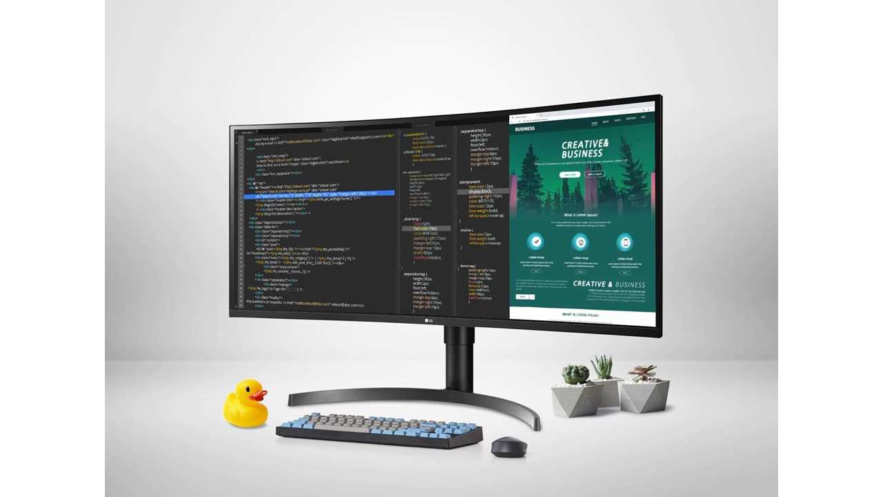 LG monitors (1).jpg