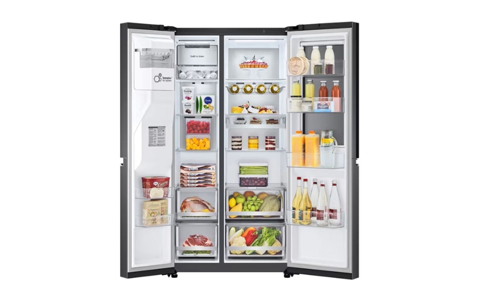 REF-organization (1).png