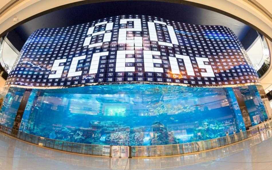 LG OLED Wall Sets Multiple Records photo 2.jpg