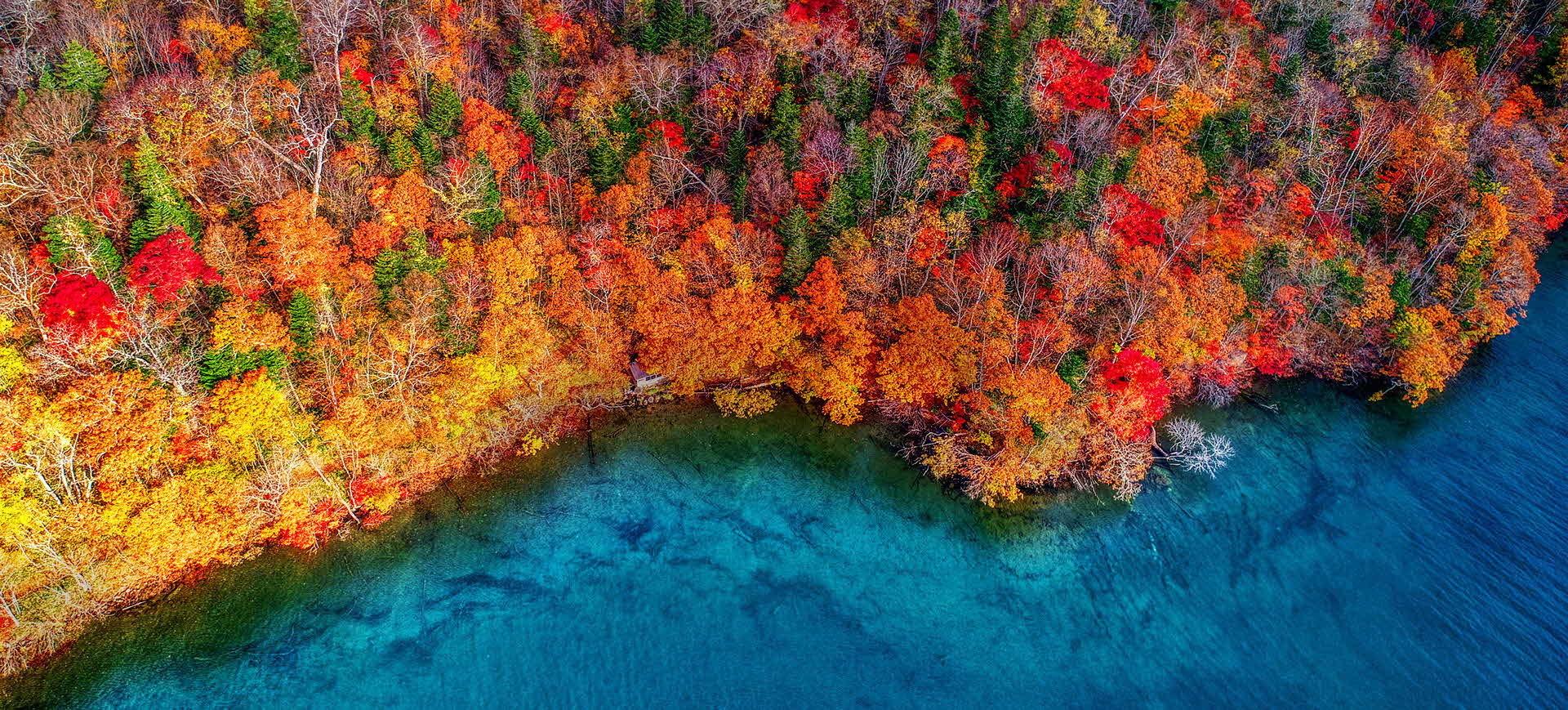 Nano Color, Νέα εποχή στην ευκρίνεια των χρωμάτων