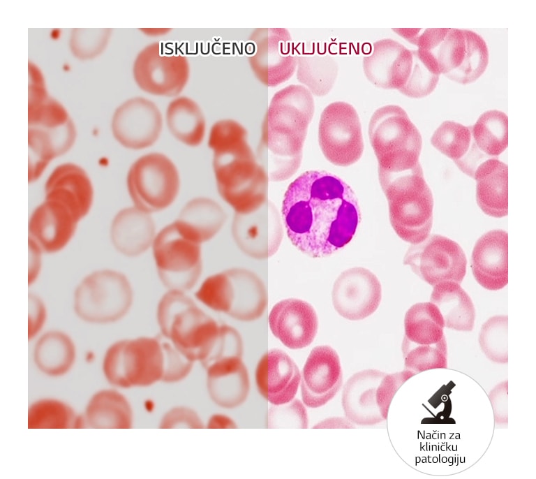 Realistična reprodukcija boja2