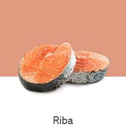 REF-NatureFRESH-Vplus-03-UsefulTips-04-12-Fish