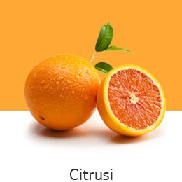 REF-NatureFRESH-Vplus-03-UsefulTips-04-3-Citrus-Fruits