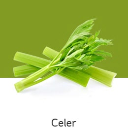 REF-NatureFRESH-Vplus-03-UsefulTips-04-7-Celery