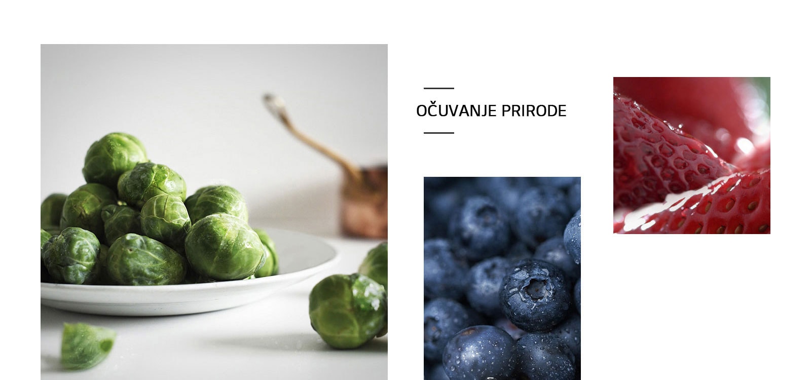 REF-NatureFRESH-Vplus-01-Story-03-Saving-Nature-Desktop