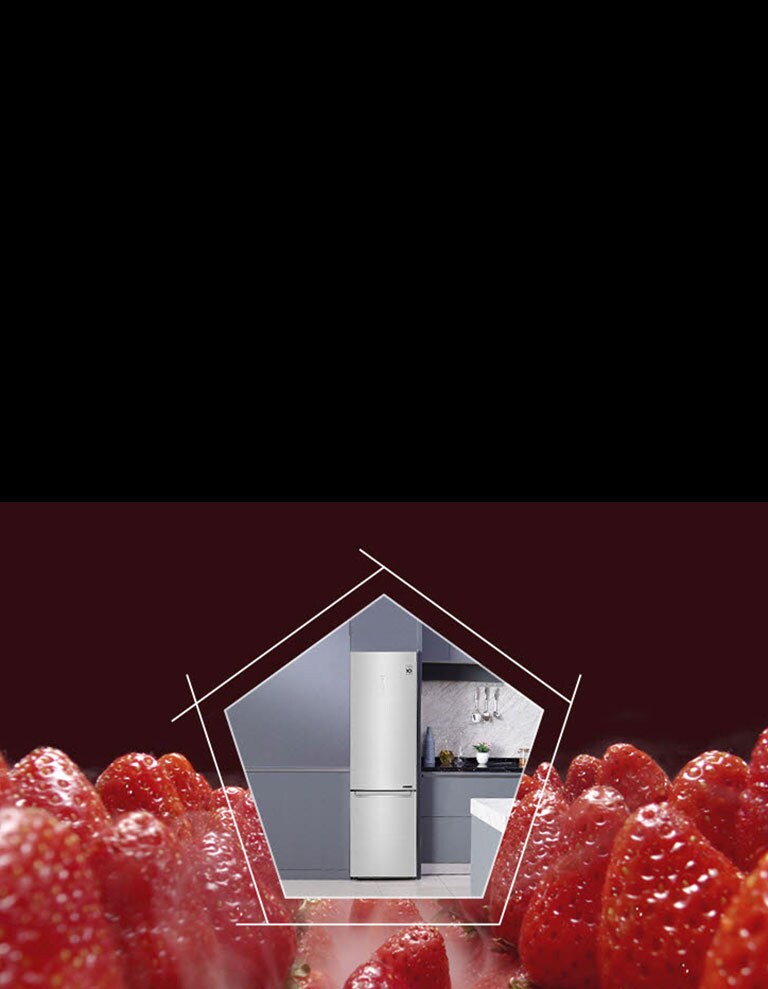 Oduševite svoja osjetila4