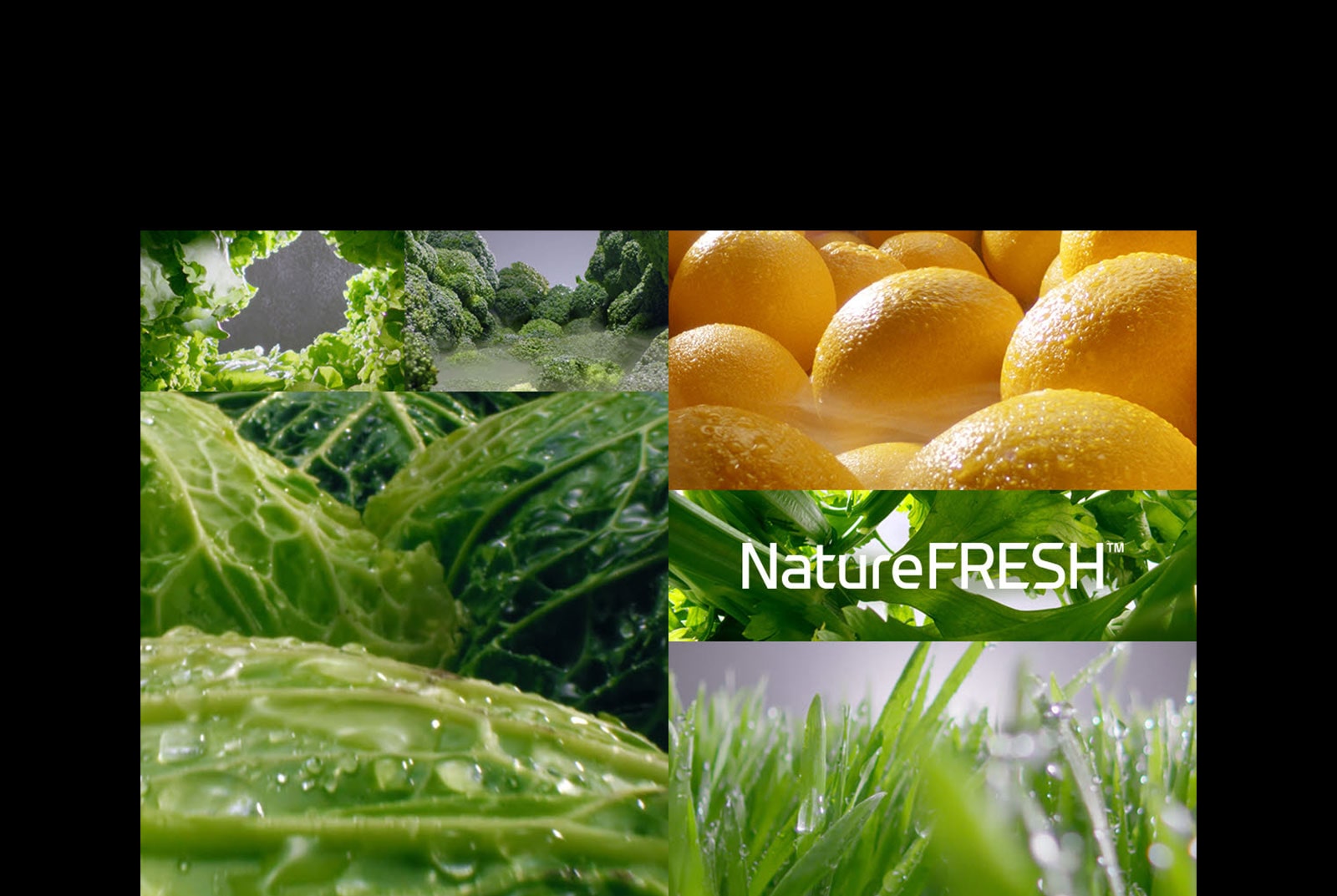 Oduševite svoja osjetila3