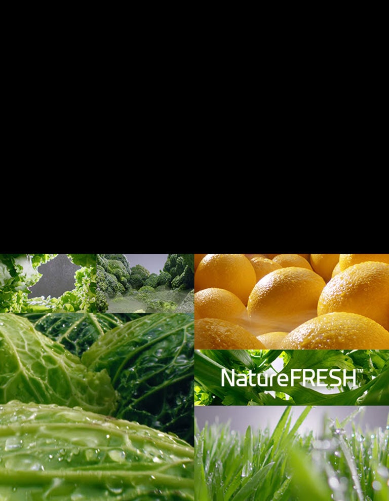 Oduševite svoja osjetila4