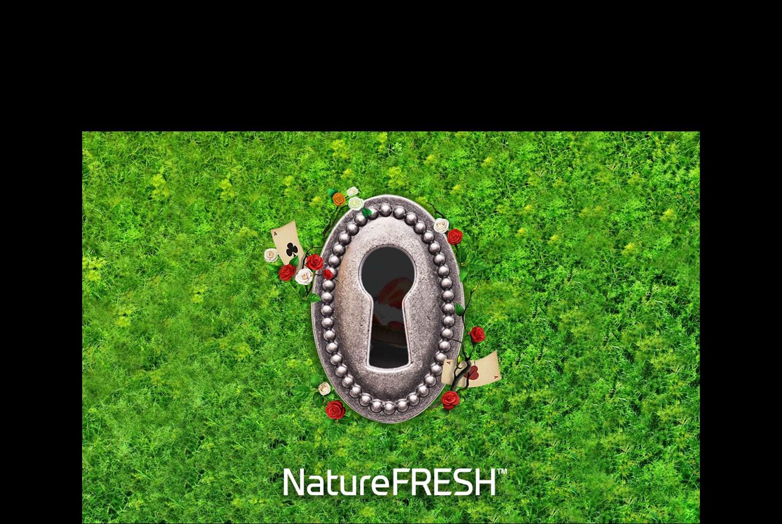 Oduševite svoja osjetila3