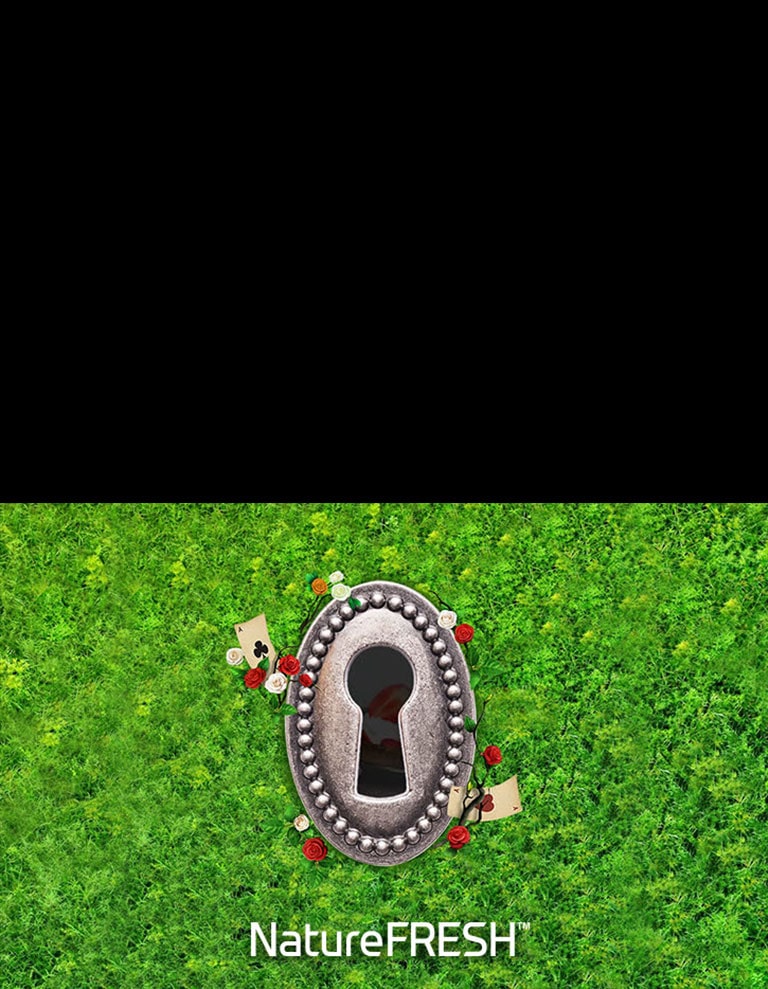 Oduševite svoja osjetila4