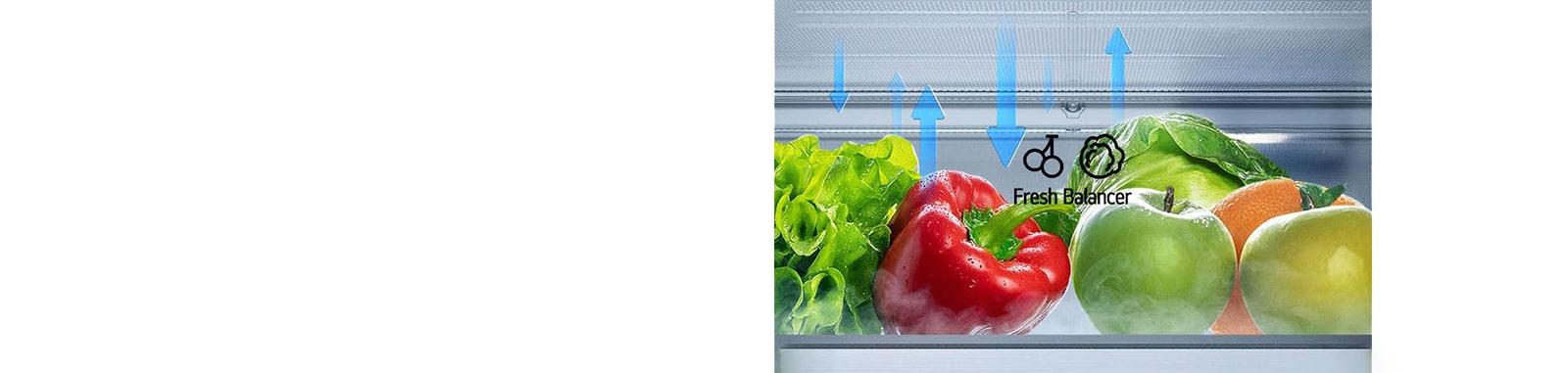 LG hladnjak s donjim zamrzivačem i ladicom FRESH Balancer™ koja prikazuje kretanje vlage.